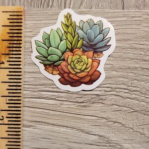 10/$10 Succulent Plant Sticker Gardening Cacti Grow